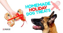 Homemade Holiday Dog Treats