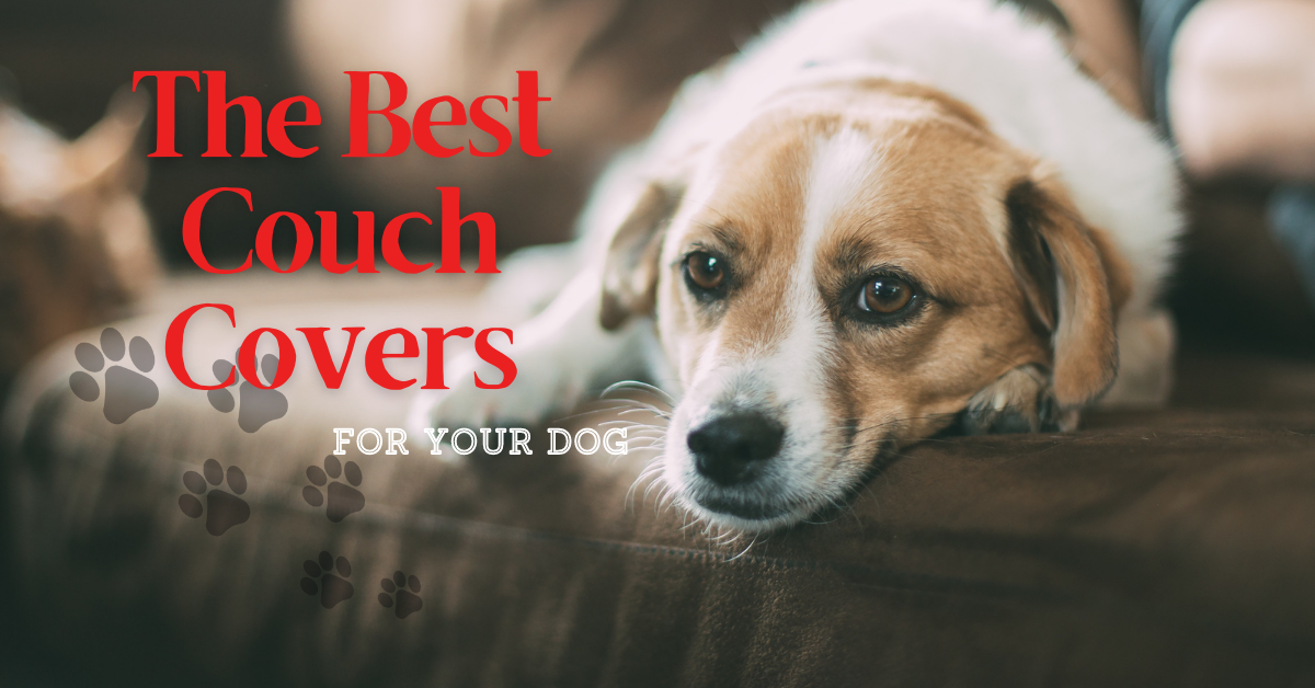 what is the best couch cover for dogs