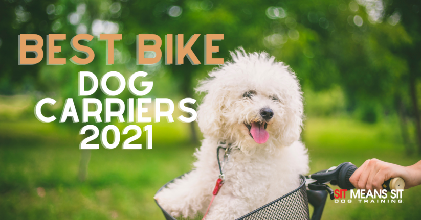 Best Bike Dog Carriers 2021