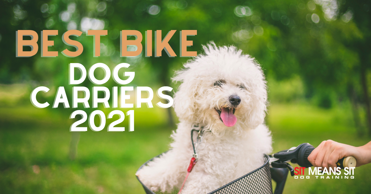 Best Bike Dog Carriers 2021