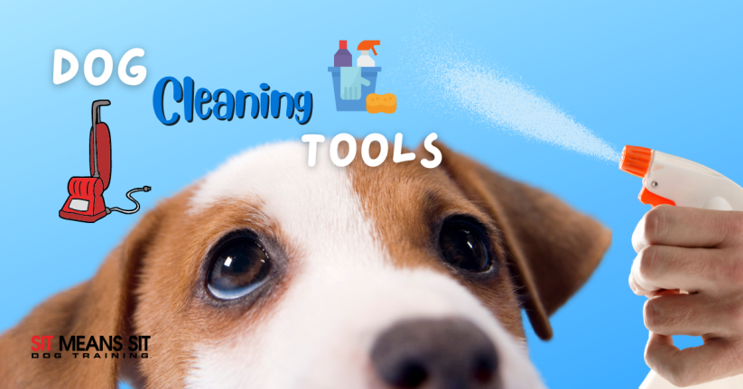 2021 Best Cleaning Tools for Dog Owners