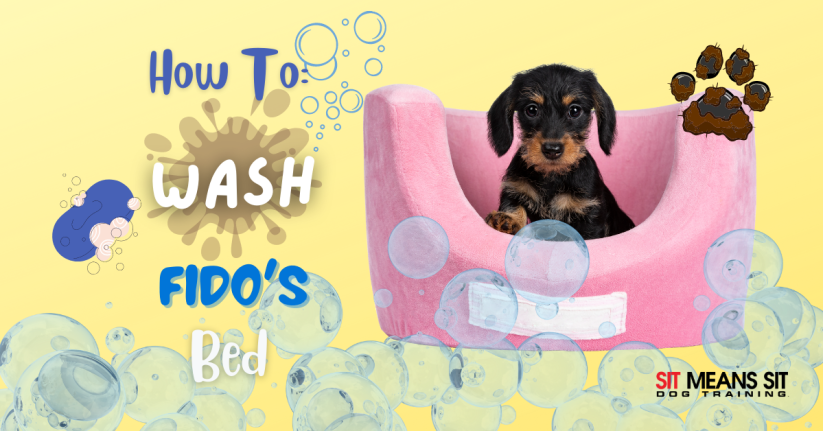 How to Wash Your Dog's Bed