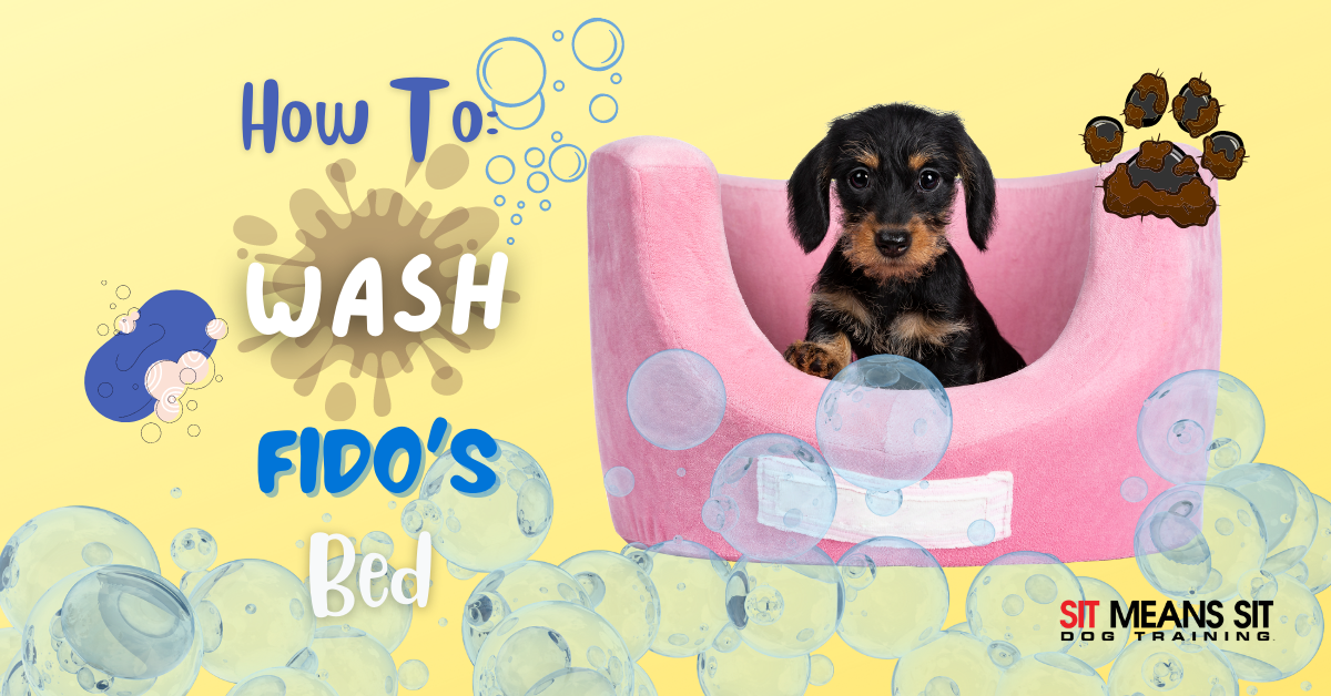 How to Wash Your Dog's Bed