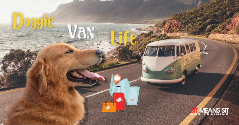 Tips for Van Life with a Dog