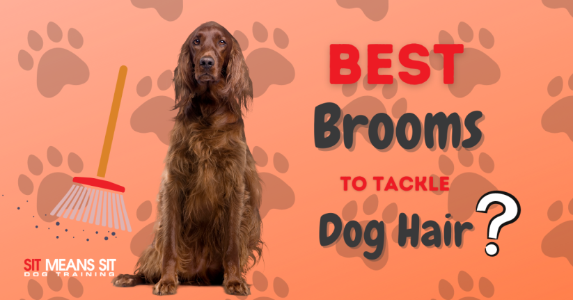 The Best Brooms for Sweeping up Dog Hair