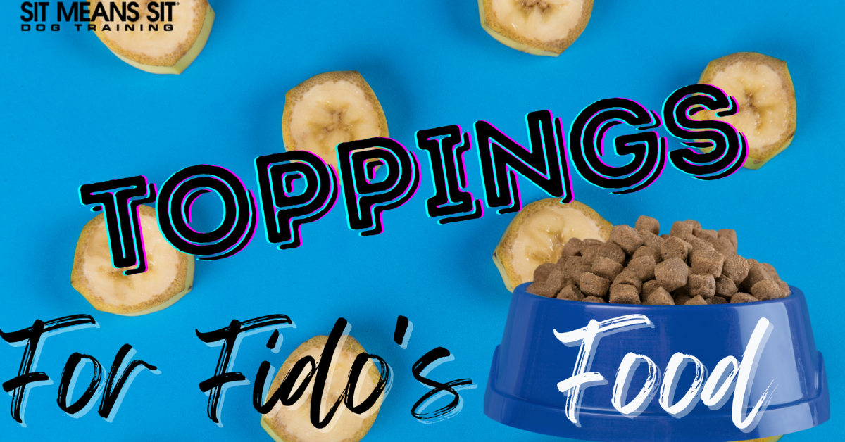 toppings for dogs with a dog bowl poster