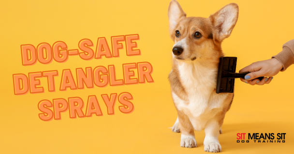 The Best Dog-Safe Detangler Sprays