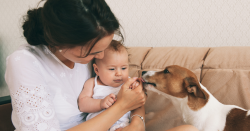 Tips for Introducing Your Dog to Your Newborn Baby