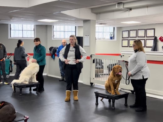 group class instruction