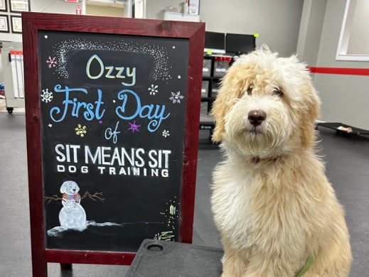 doodles first day of school
