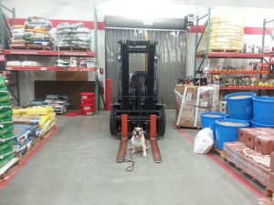 Dallas with fork lift