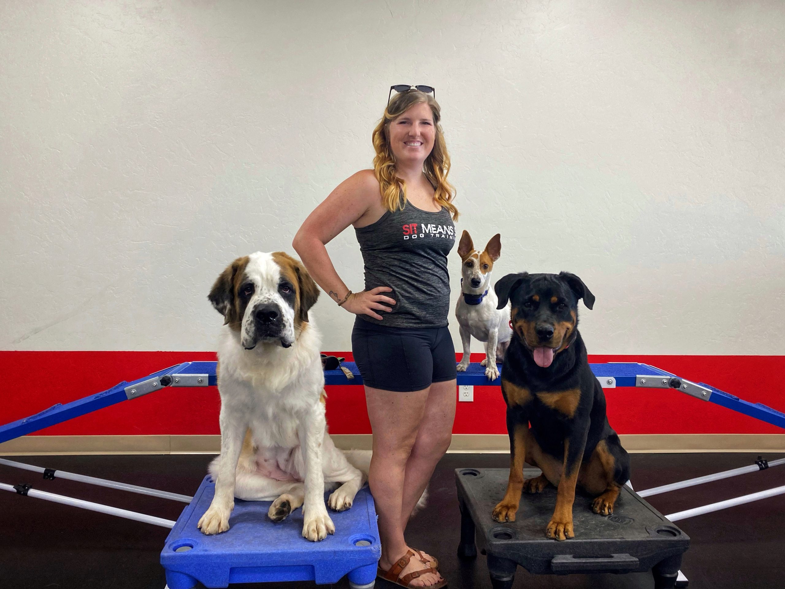 a woman standing with three dogs on either side in a training center