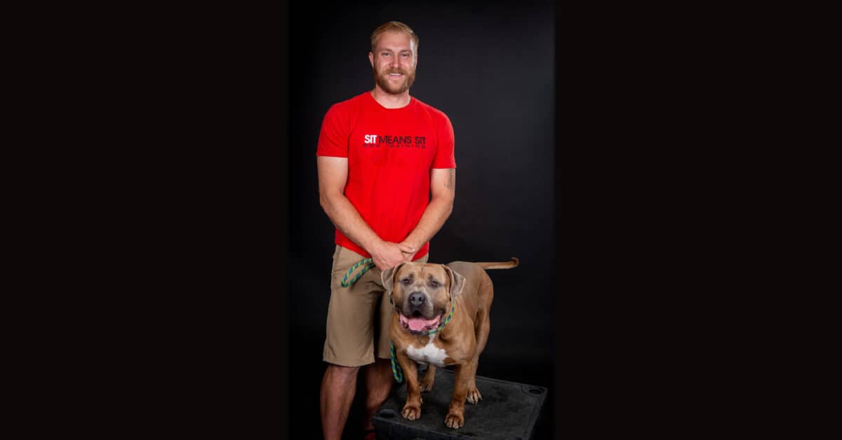 Training an Aggressive Dog: What You Need to Know
