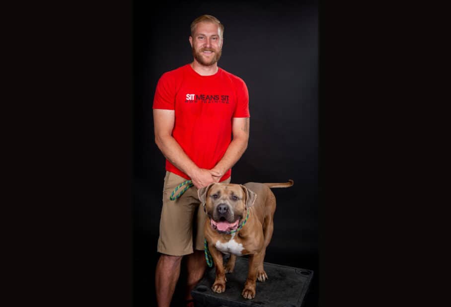 Training an Aggressive Dog: What You Need to Know