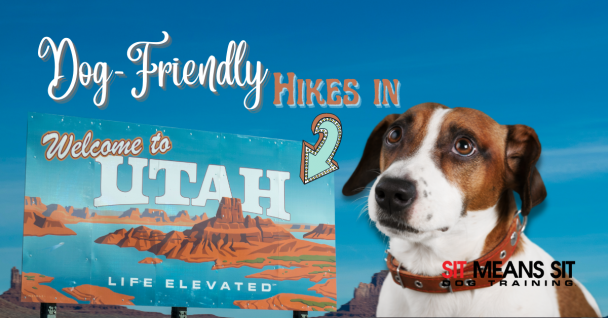 Dog Friendly Desert Hikes in Southern Utah