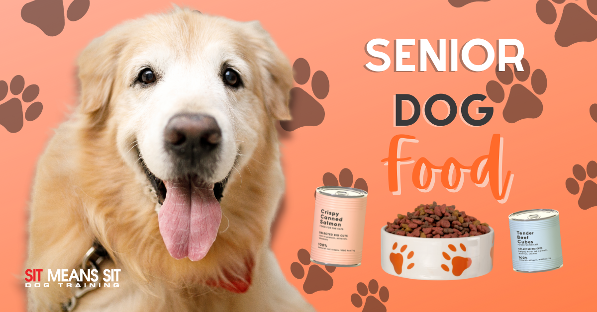 What Should I Be Feeding My Senior Dog? - Sit Means Sit Dog Training Southern Utah