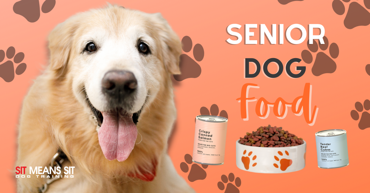 What Should I Be Feeding My Senior Dog?