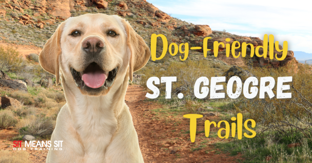 Dog-Friendly Trails in St. George