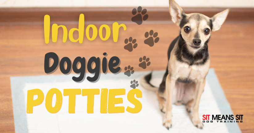 The Best Indoor Dog Potties