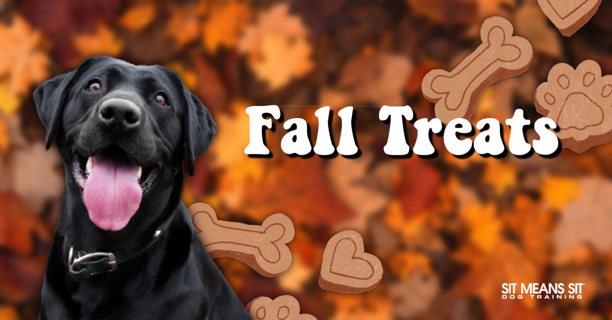 DIY Dog-Friendly Fall Treats - Sit Means Sit Dog Training Southern Utah