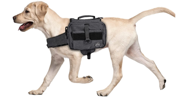 Dog Hiking Backpack