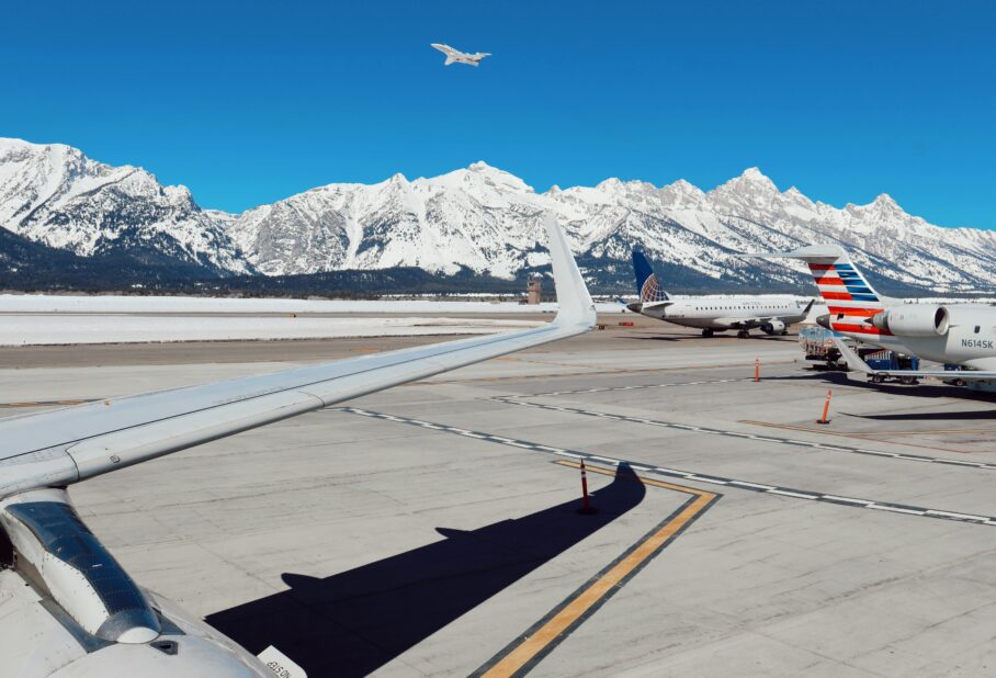 Holiday Travel with Your Dog: Tips for a Smooth Trip