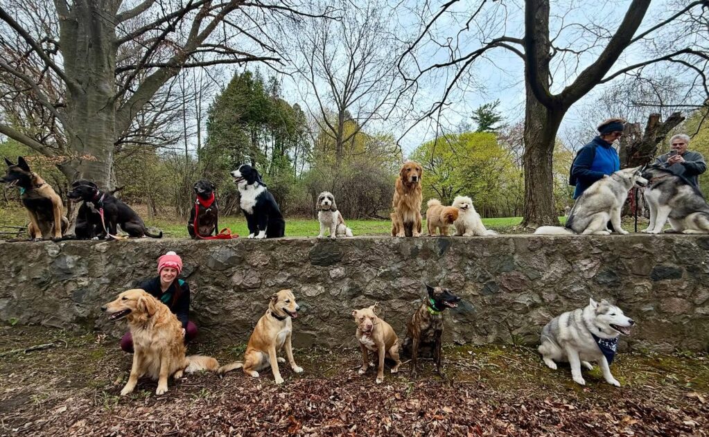 dog-friendly parks in Southern Utah
