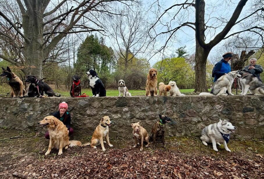 dog-friendly parks in Southern Utah