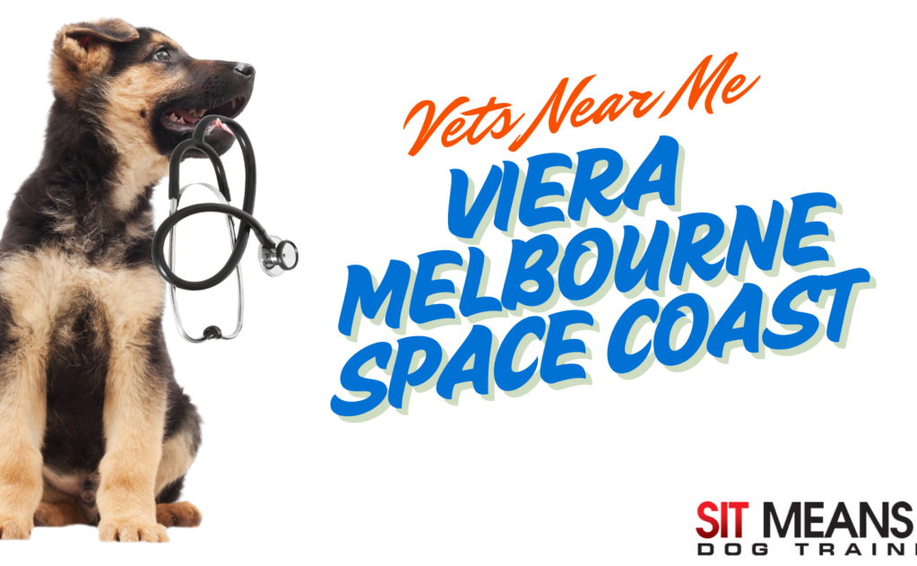 A puppy holding a stethoscope, promoting veterinary services in Viera, Melbourne, and the Space Coast.