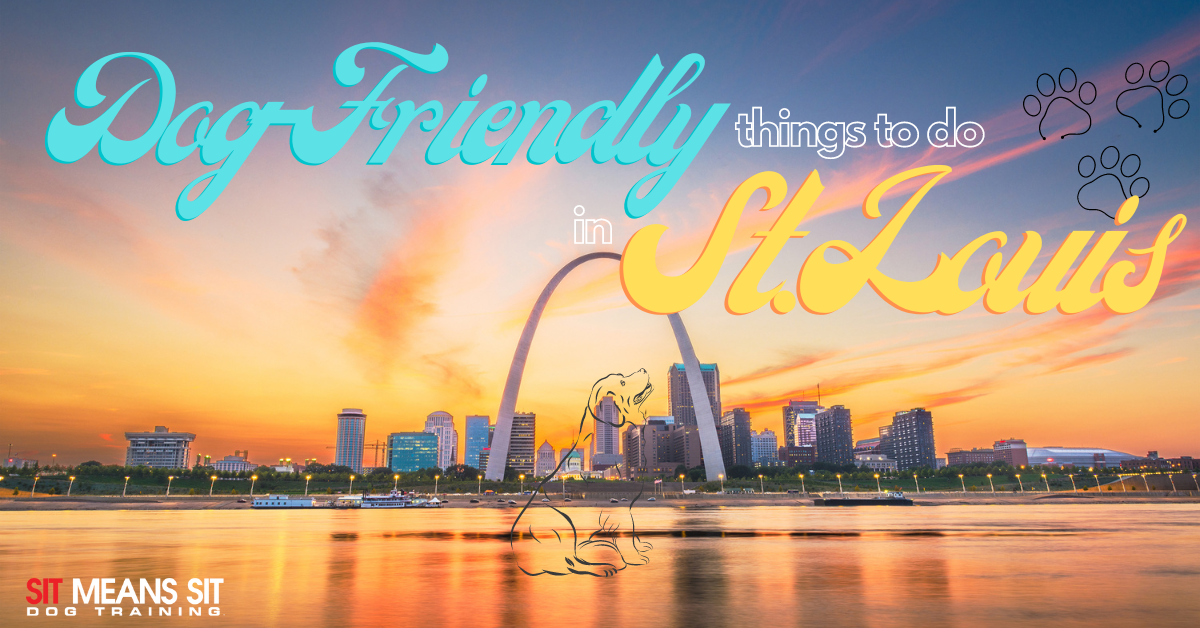 Dog friendly things to do in St, Louis banner with sunset over the city in the background