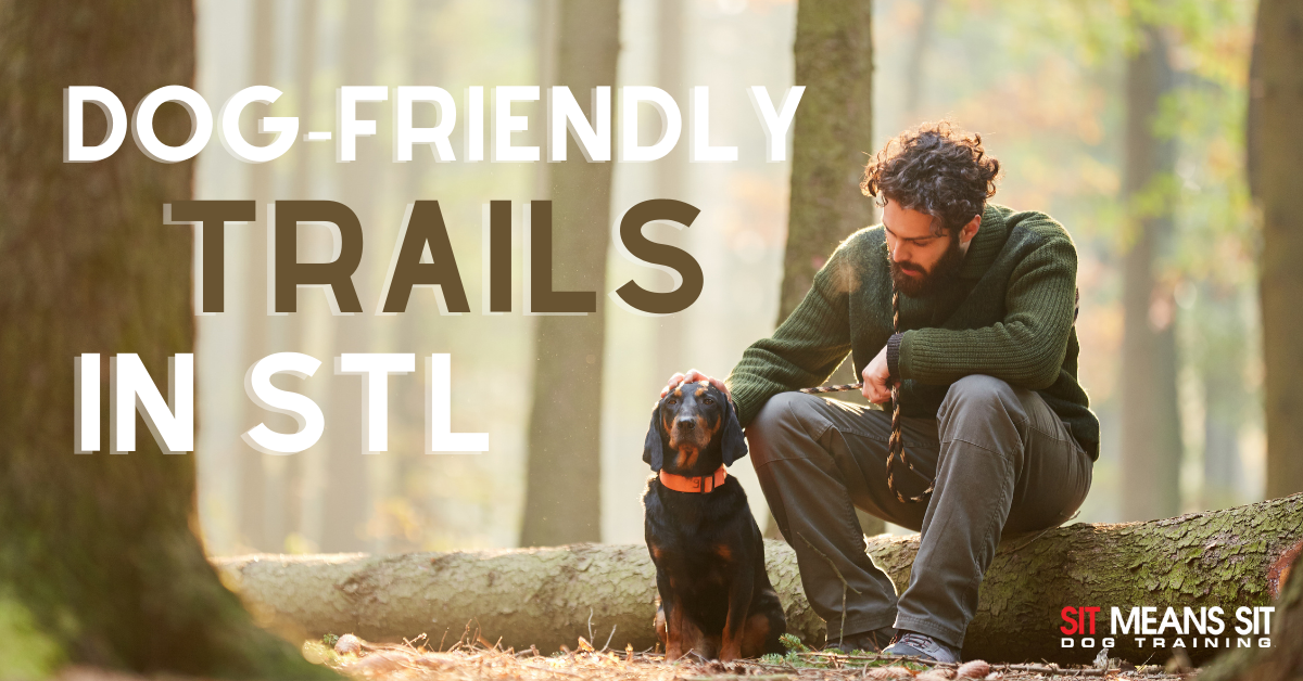 Dog friendly trails in STL with trees in the back ground