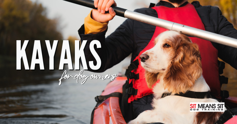 Check Out These Kayaks For Dog Owners