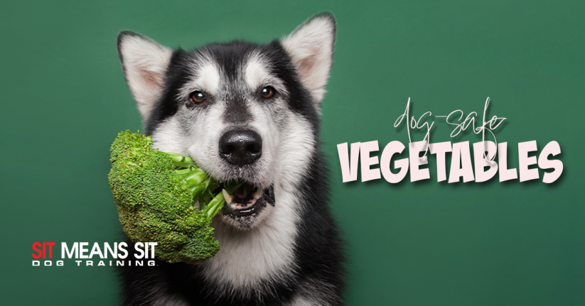 Vegetables Your Dog Can & Can't Eat