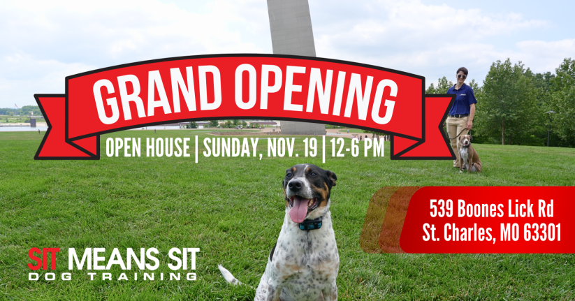 SMS STL's Grand Opening & Open House