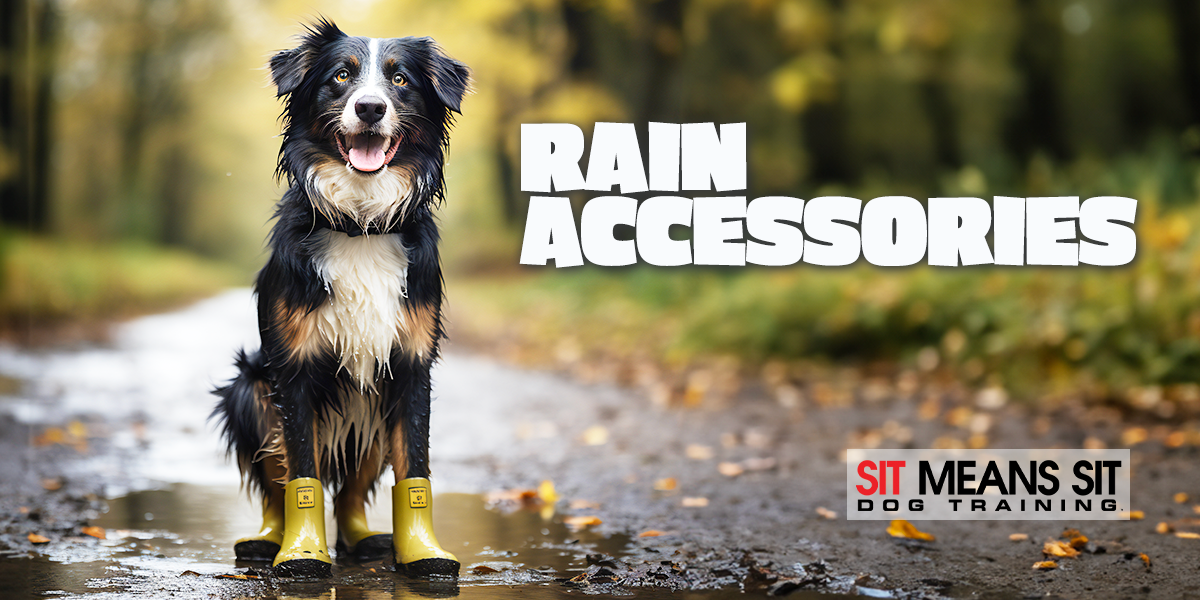 Rainy Weather Accessories To Help Keep Your Canine Dry