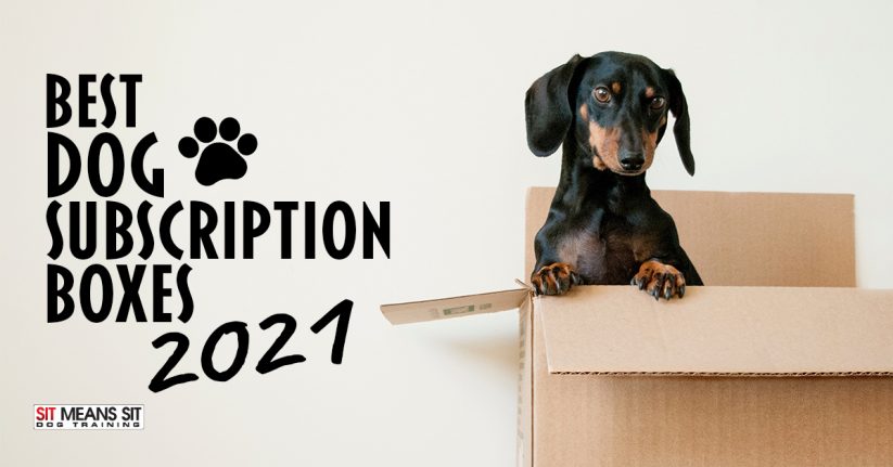 Best Dog Subscription Boxes 2021