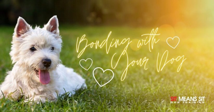 Ways to Bond with Your Dog Everyday