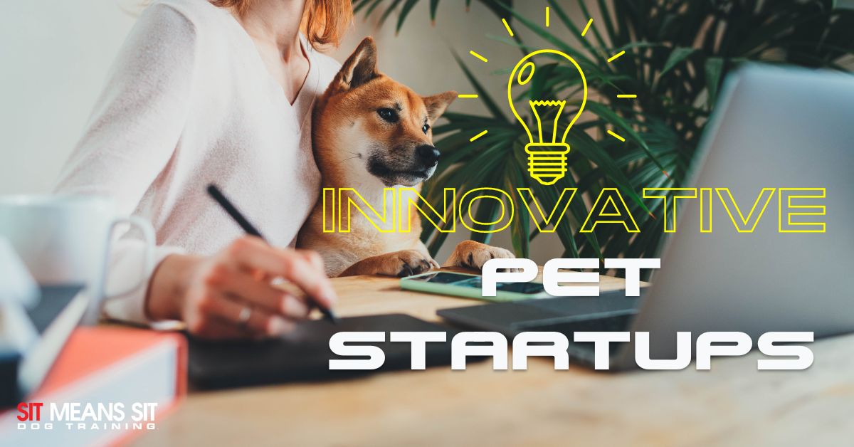 innovative pet startups poster