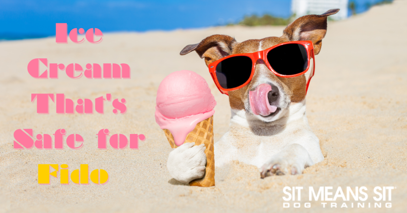 Ice Cream That's Safe for Fido