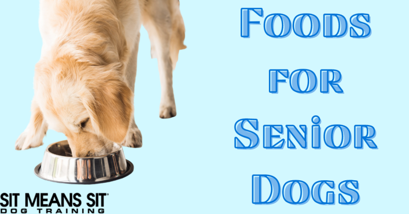 Best Foods for Senior DOgs