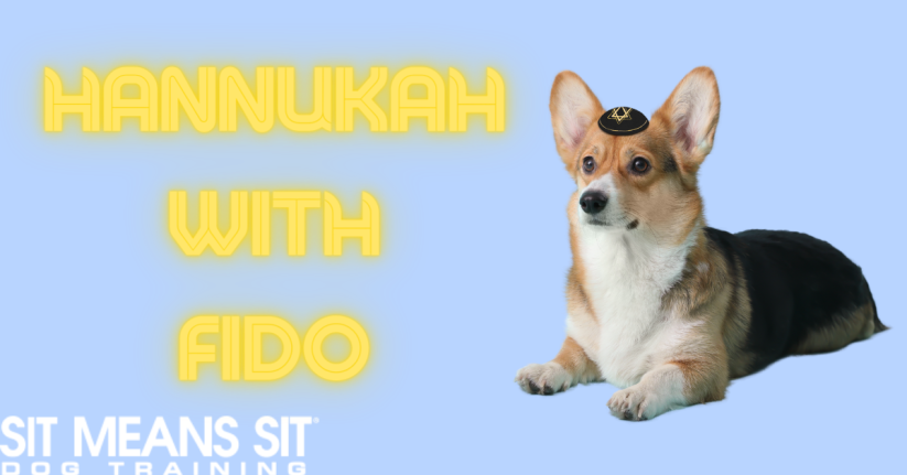 Celebrating Hanukkah with Your Pup