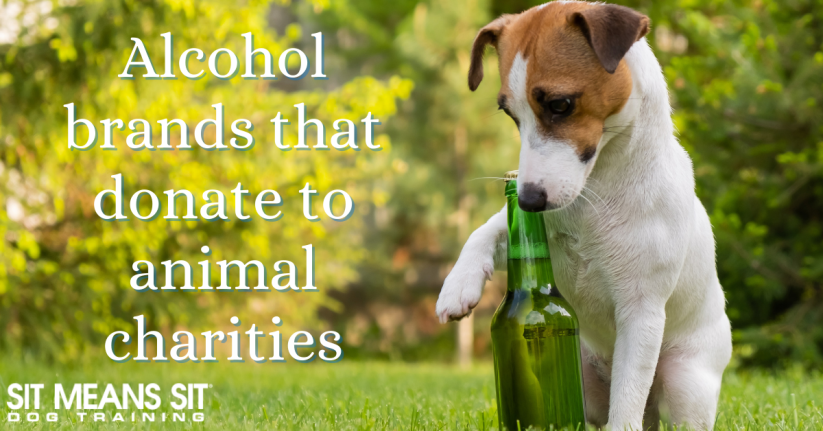 Did You Know These Brands of Alcohol Donate to Animal Charities?