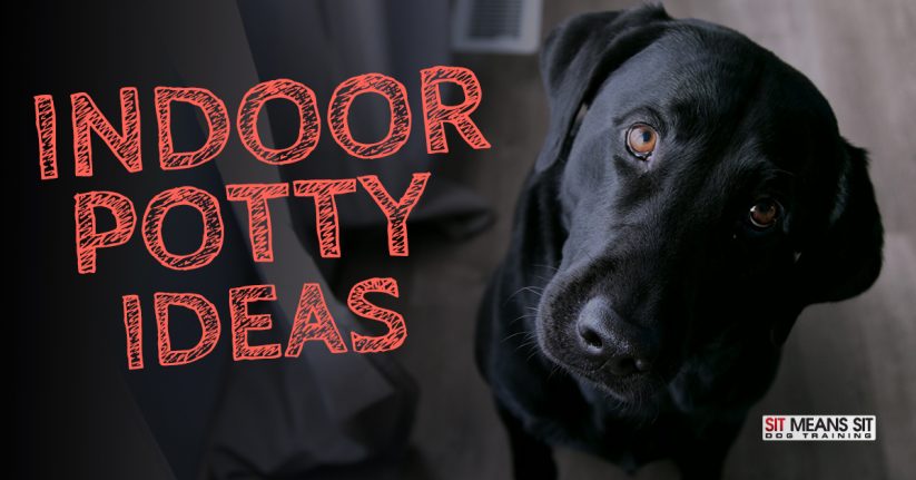 Indoor Potty Ideas For When Your Dog Just Can’t Go Outside
