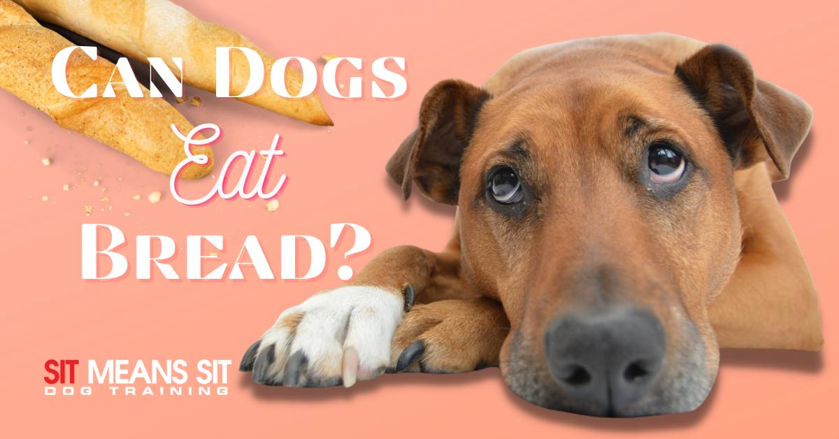bad food for pups is sourdough bread bad for dogs
