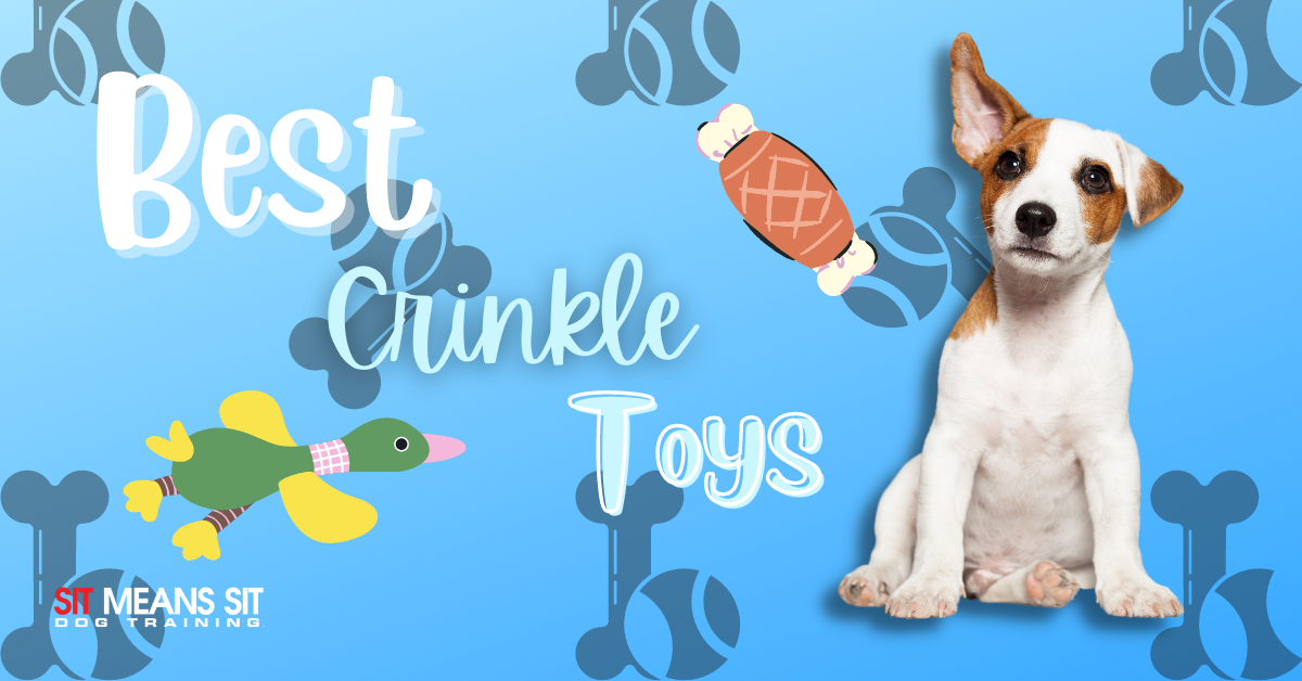 Does Your Dog Like Crinkle Toys Check