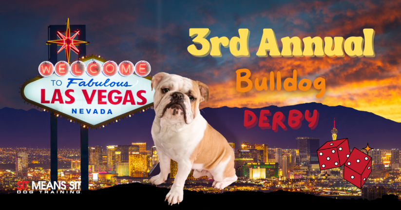 The 3rd Annual Bulldog Derby is coming to Las Vegas