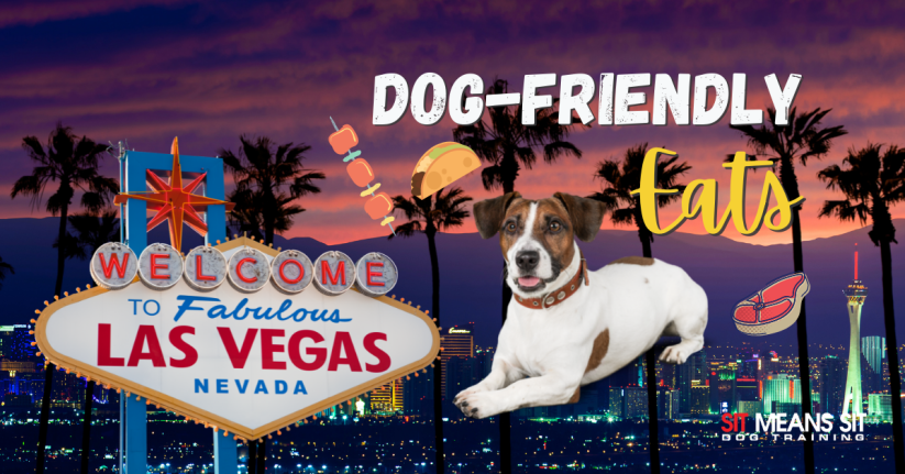 The Best Dog-Friendly Eats in Las Vegas