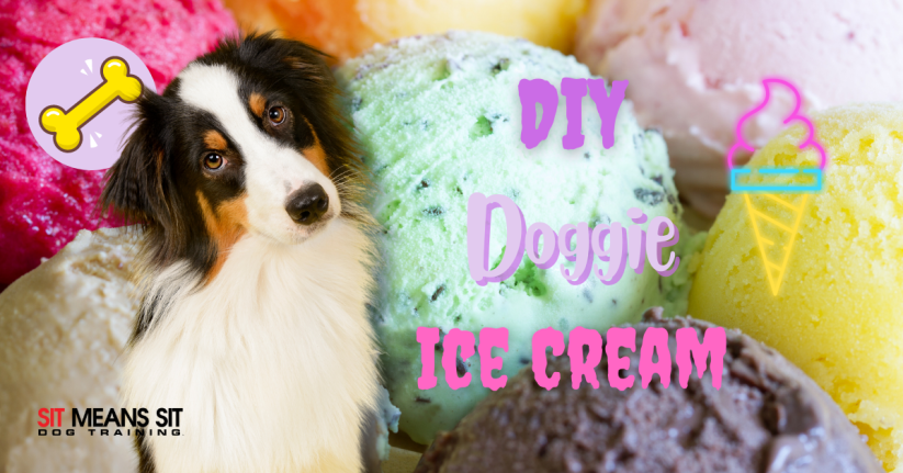 The Best Dog-Friendly Ice Cream Recipes