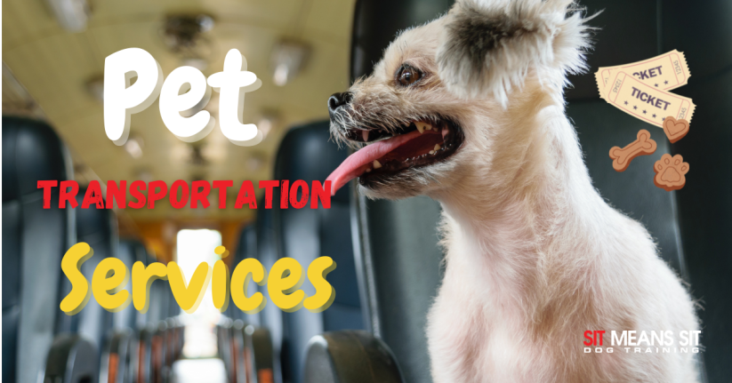 The Best Pet Transportation Services