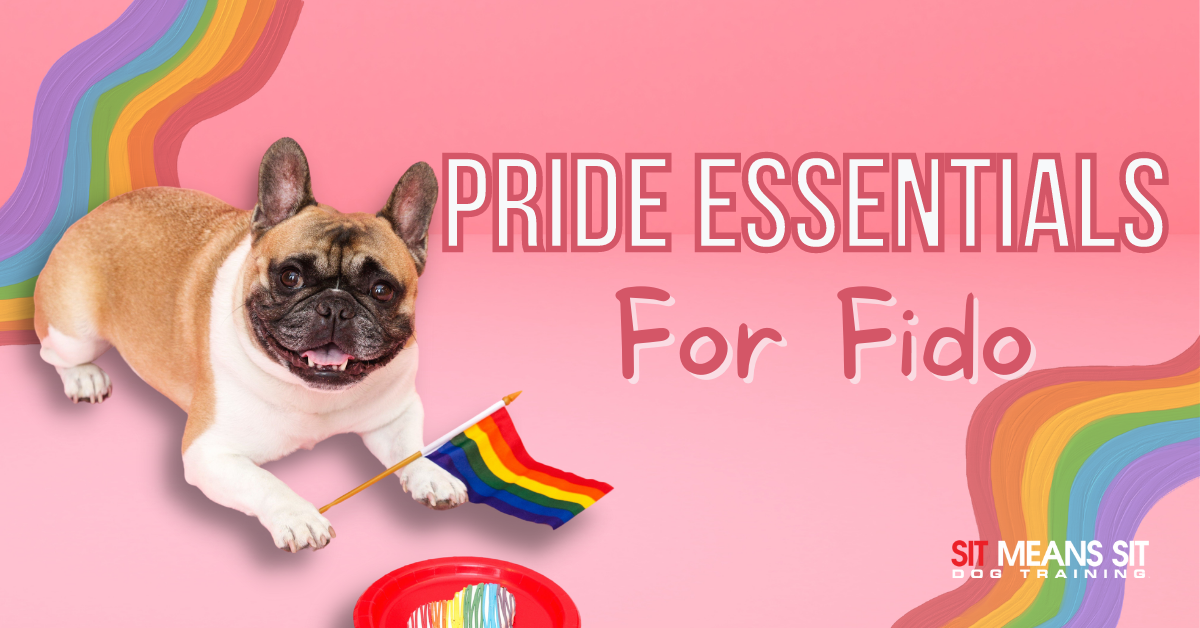 pride essentials made for fido with a pug holding a pride flag poster